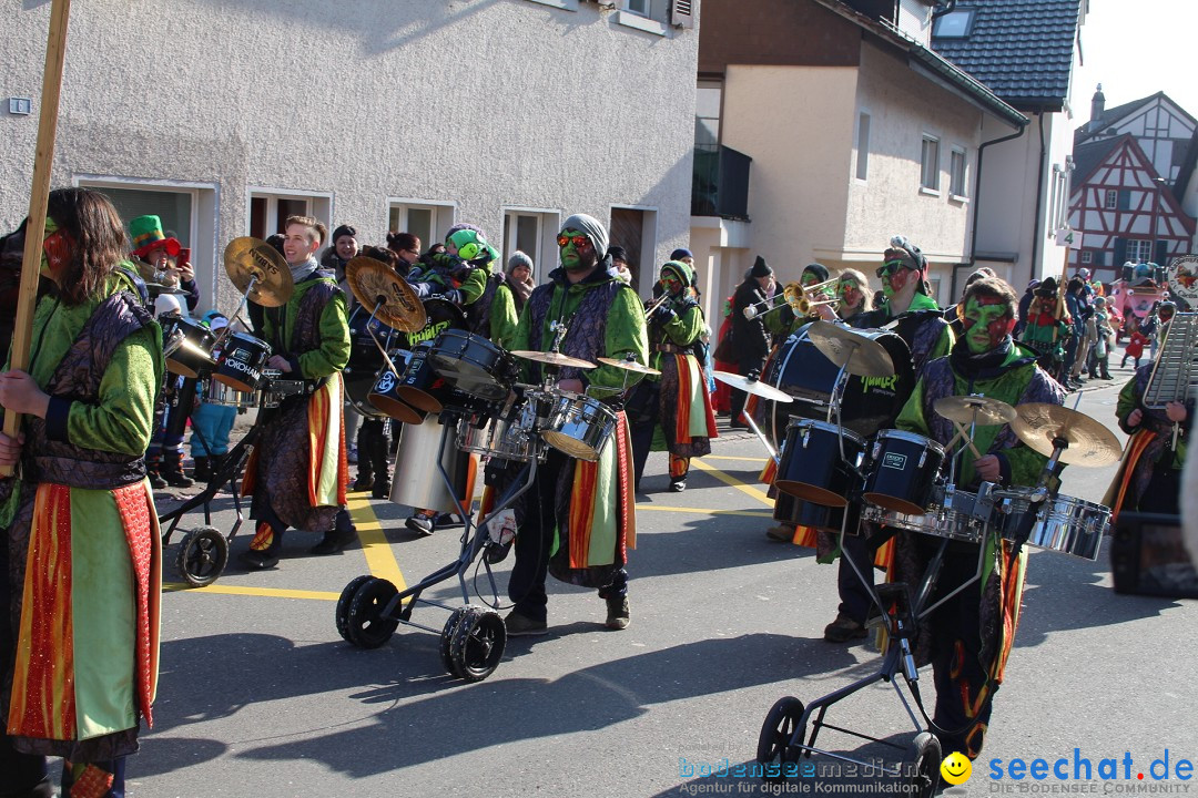 Fasnachtsumzug: Berlingen - Schweiz, 24.02.2018