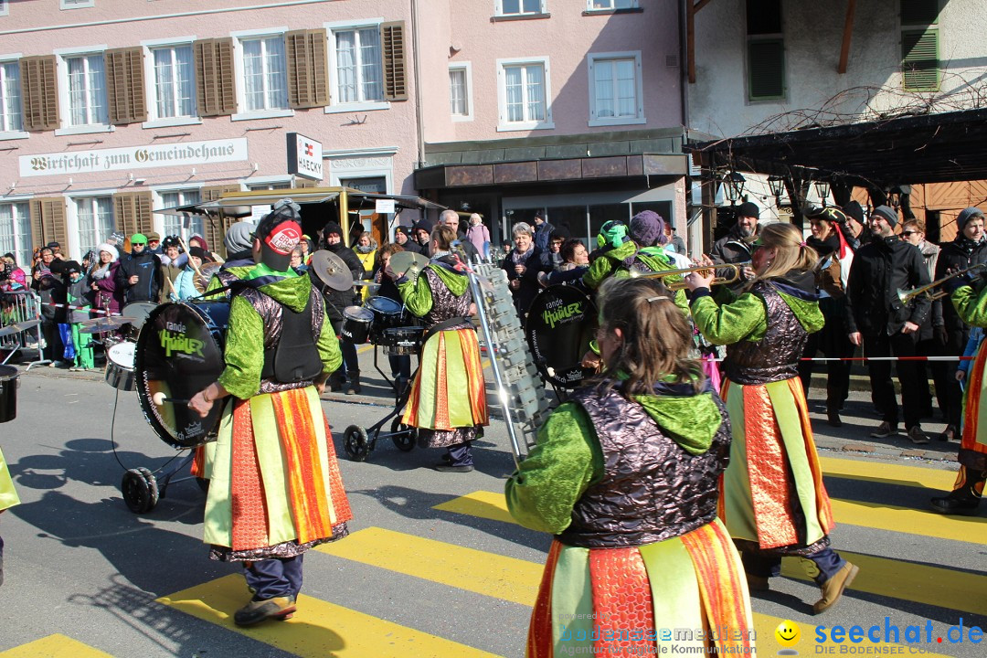 Fasnachtsumzug: Berlingen - Schweiz, 24.02.2018