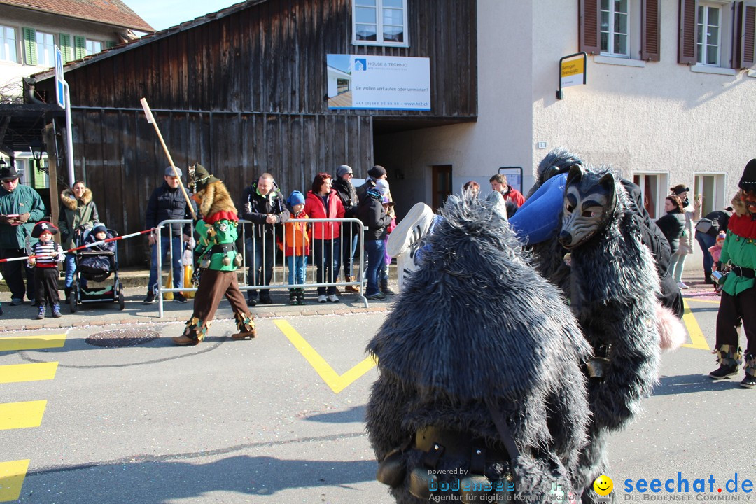 Fasnachtsumzug: Berlingen - Schweiz, 24.02.2018