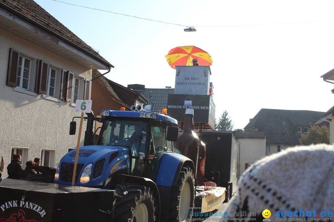 Fasnachtsumzug: Berlingen - Schweiz, 24.02.2018