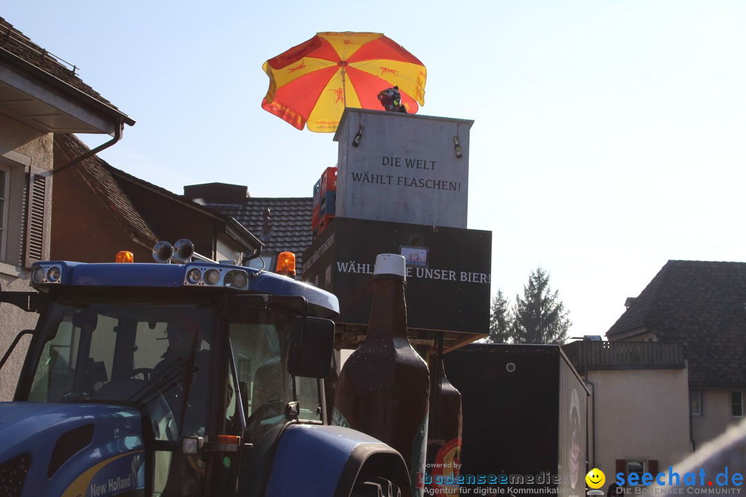 Fasnachtsumzug: Berlingen - Schweiz, 24.02.2018