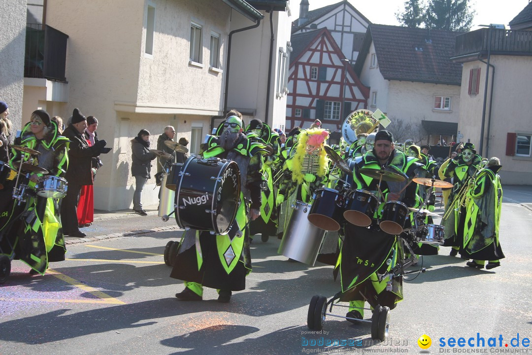 Fasnachtsumzug: Berlingen - Schweiz, 24.02.2018