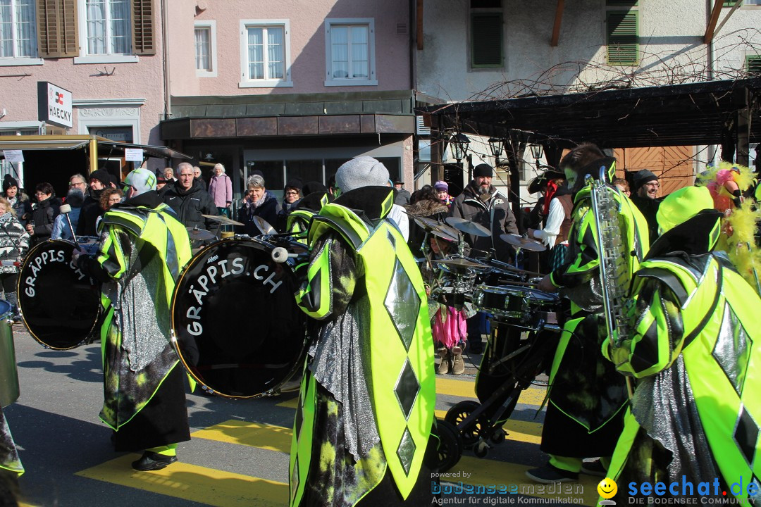 Fasnachtsumzug: Berlingen - Schweiz, 24.02.2018