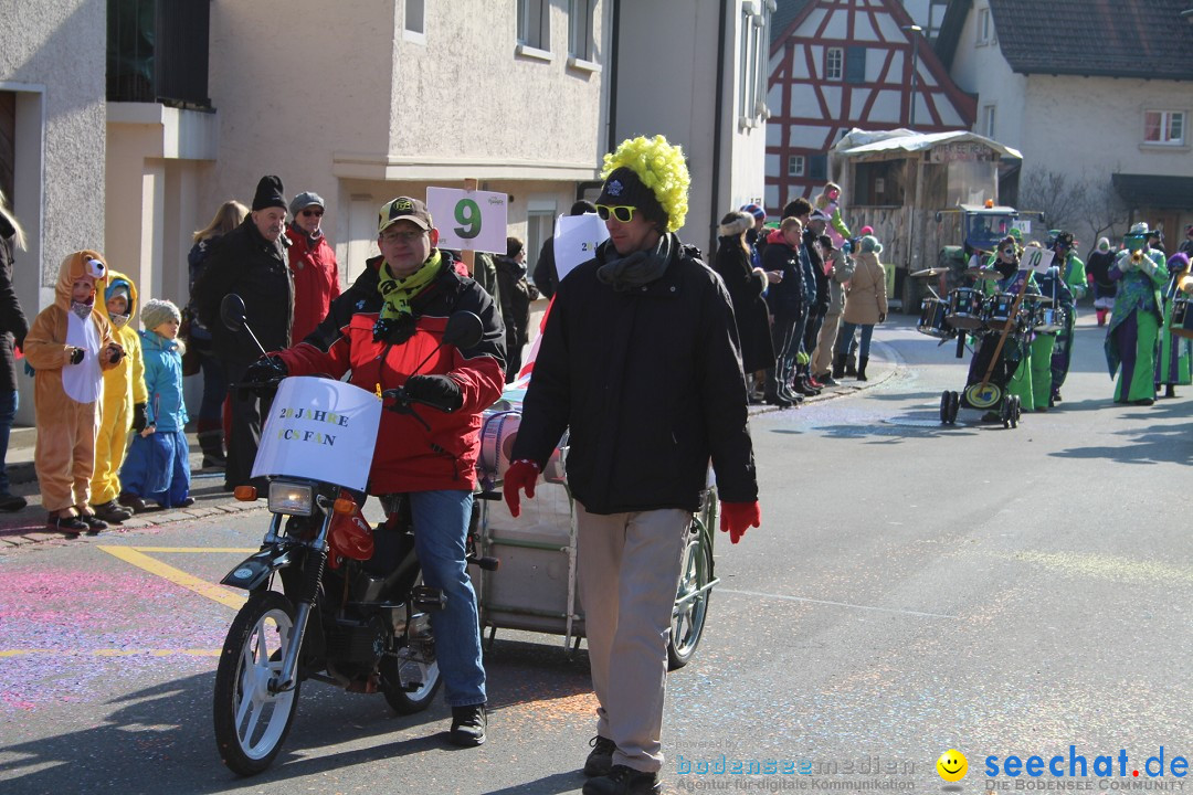 Fasnachtsumzug: Berlingen - Schweiz, 24.02.2018