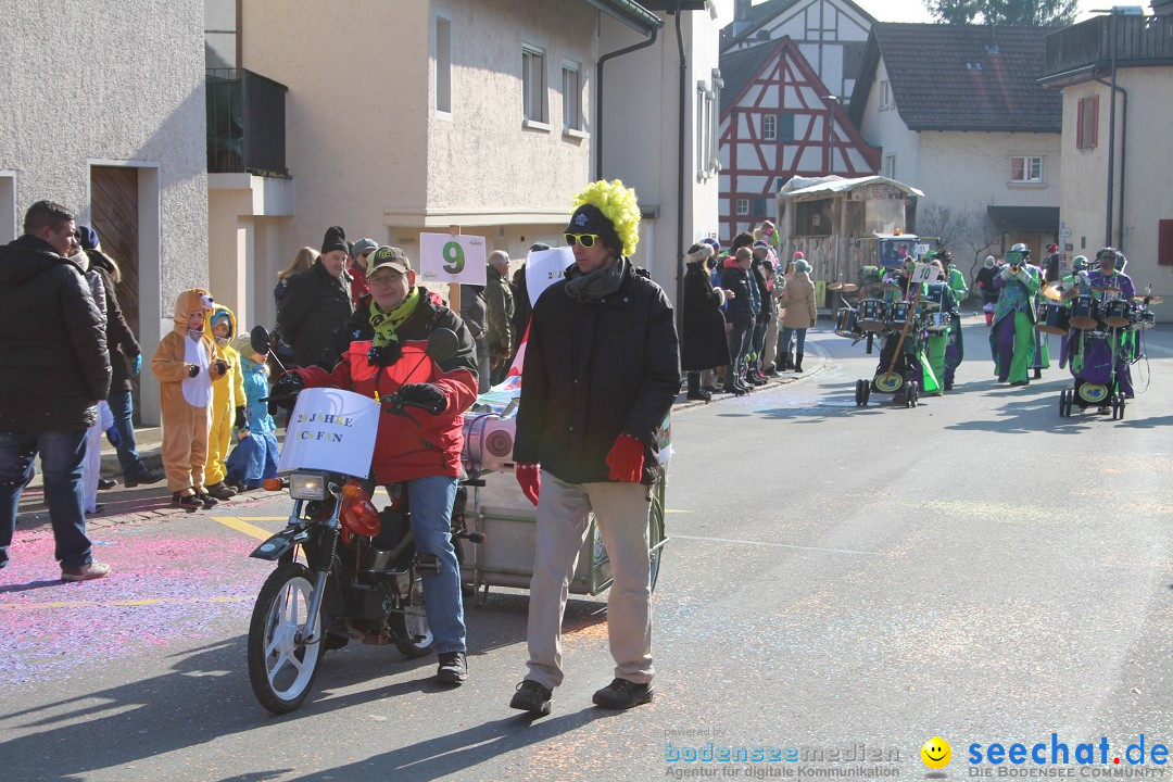 Fasnachtsumzug: Berlingen - Schweiz, 24.02.2018