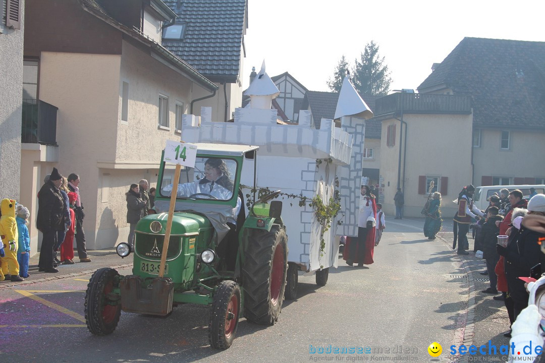 Fasnachtsumzug: Berlingen - Schweiz, 24.02.2018