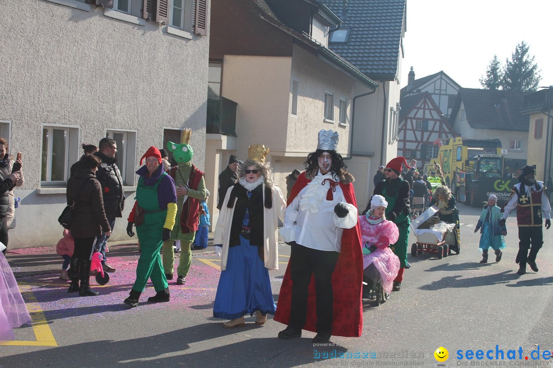 Fasnachtsumzug: Berlingen - Schweiz, 24.02.2018