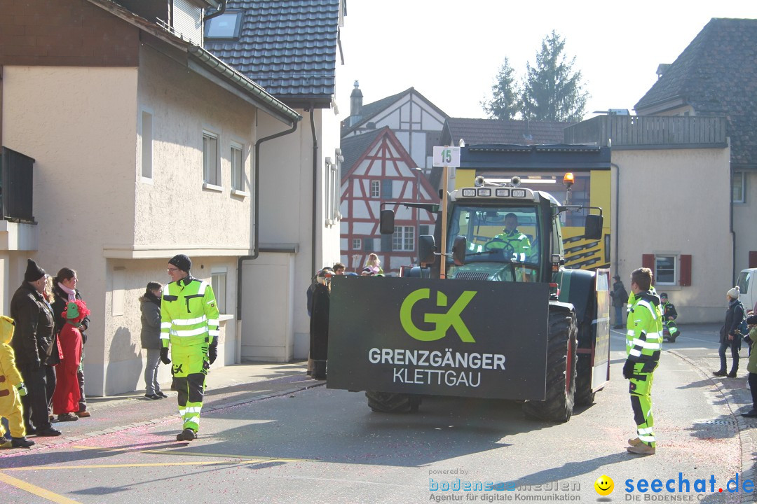 Fasnachtsumzug: Berlingen - Schweiz, 24.02.2018