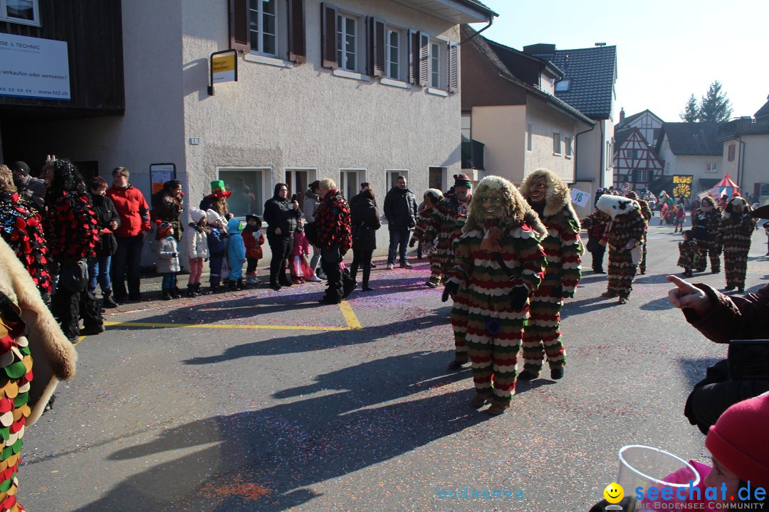 Fasnachtsumzug: Berlingen - Schweiz, 24.02.2018