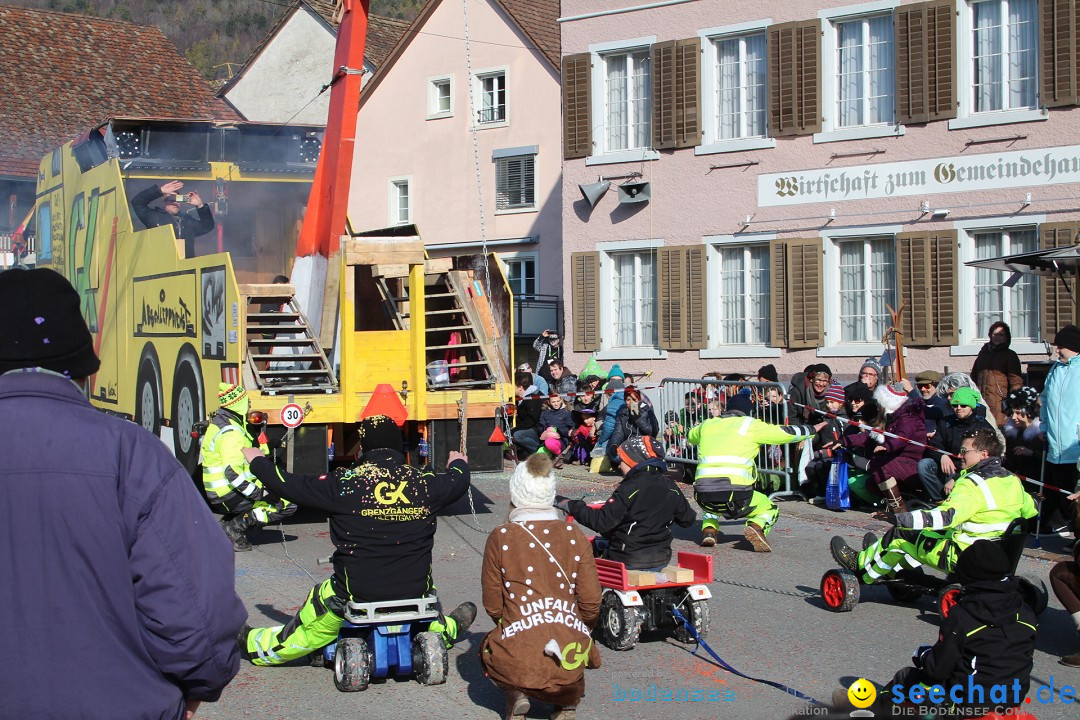 Fasnachtsumzug: Berlingen - Schweiz, 24.02.2018