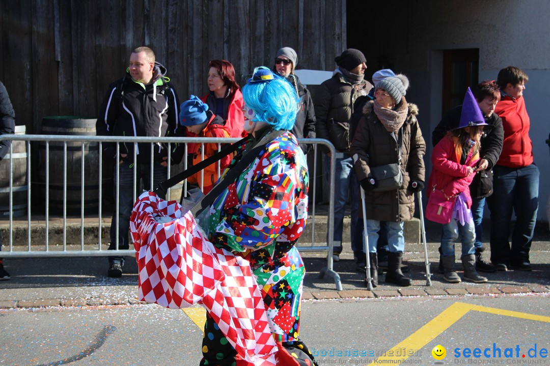 Fasnachtsumzug: Berlingen - Schweiz, 24.02.2018