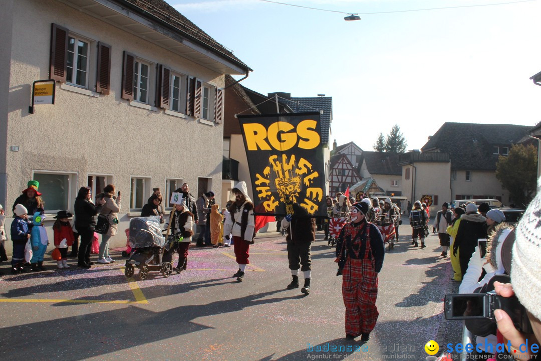 Fasnachtsumzug: Berlingen - Schweiz, 24.02.2018