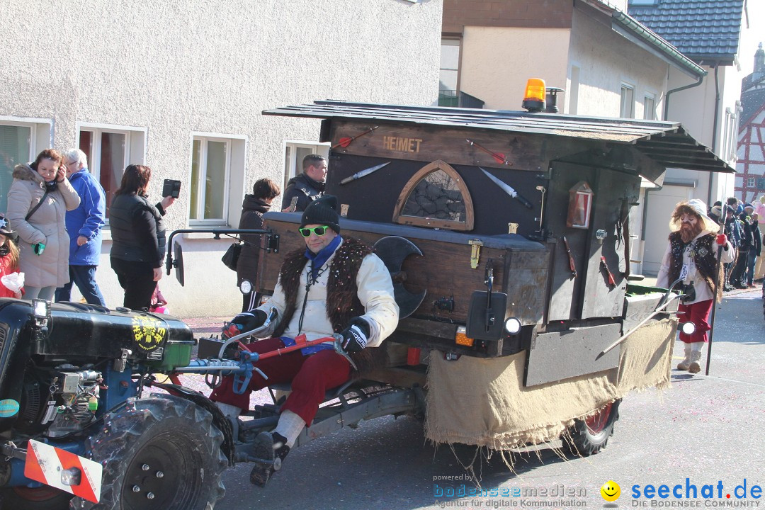 Fasnachtsumzug: Berlingen - Schweiz, 24.02.2018