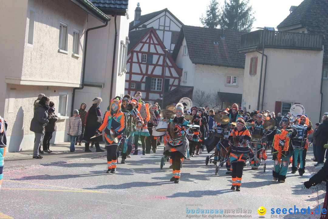 Fasnachtsumzug: Berlingen - Schweiz, 24.02.2018