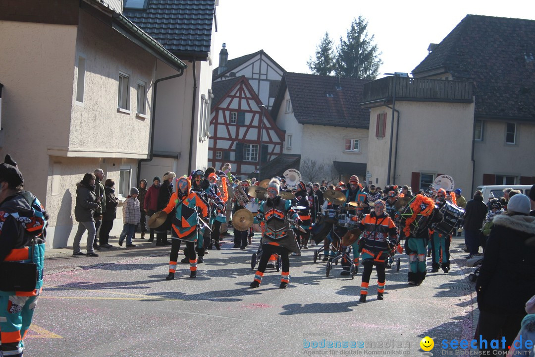 Fasnachtsumzug: Berlingen - Schweiz, 24.02.2018