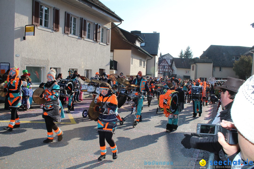 Fasnachtsumzug: Berlingen - Schweiz, 24.02.2018