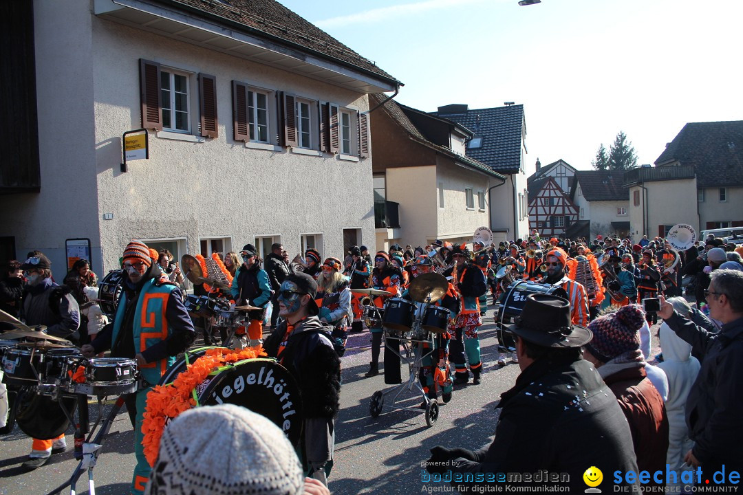 Fasnachtsumzug: Berlingen - Schweiz, 24.02.2018