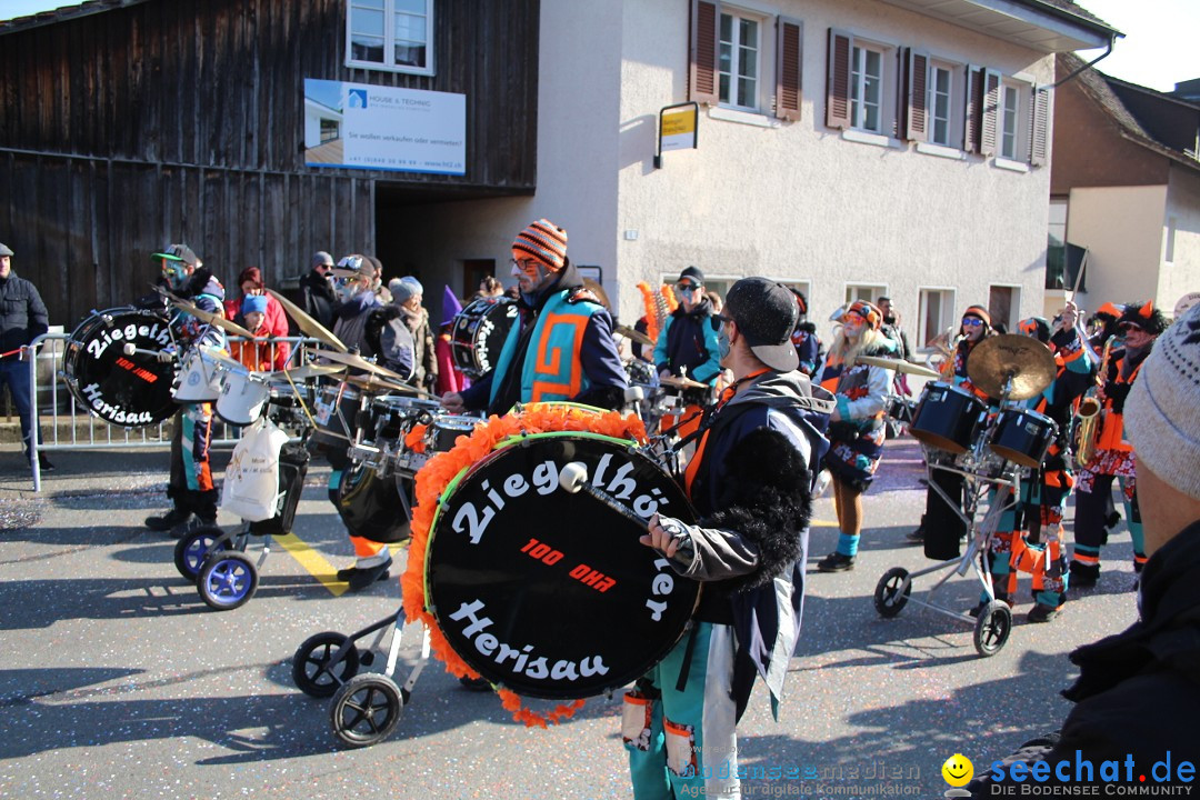 Fasnachtsumzug: Berlingen - Schweiz, 24.02.2018