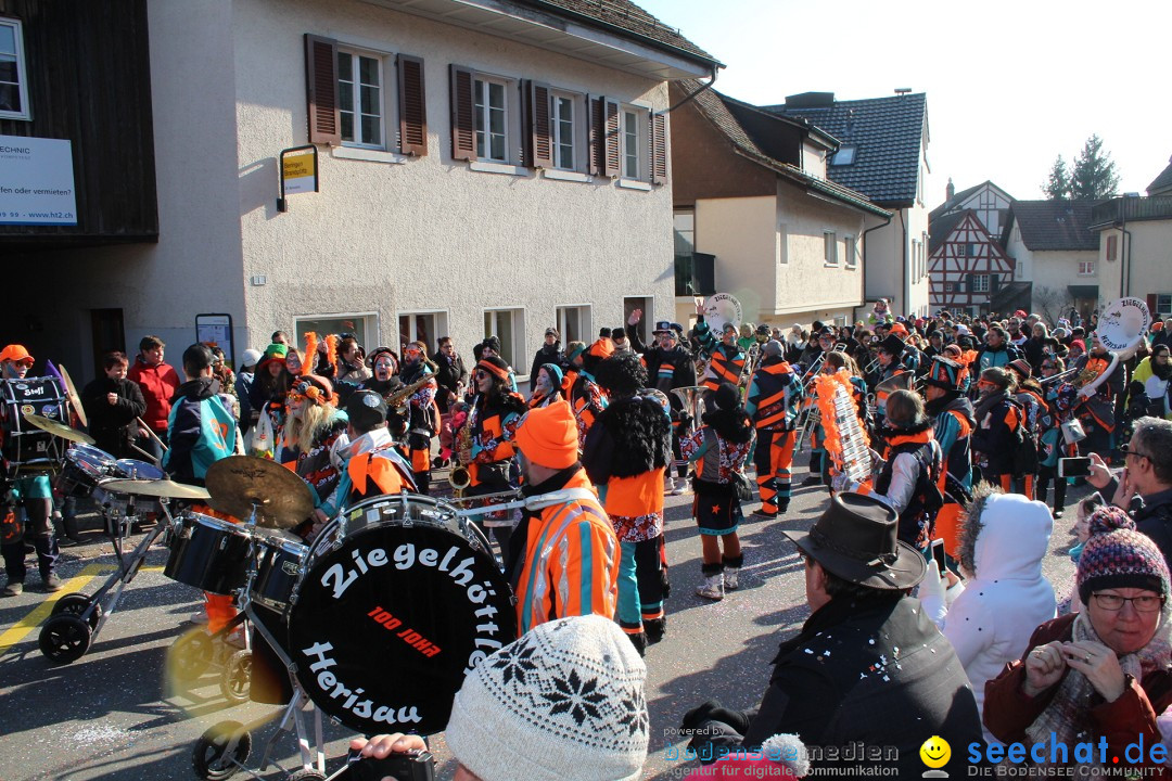 Fasnachtsumzug: Berlingen - Schweiz, 24.02.2018