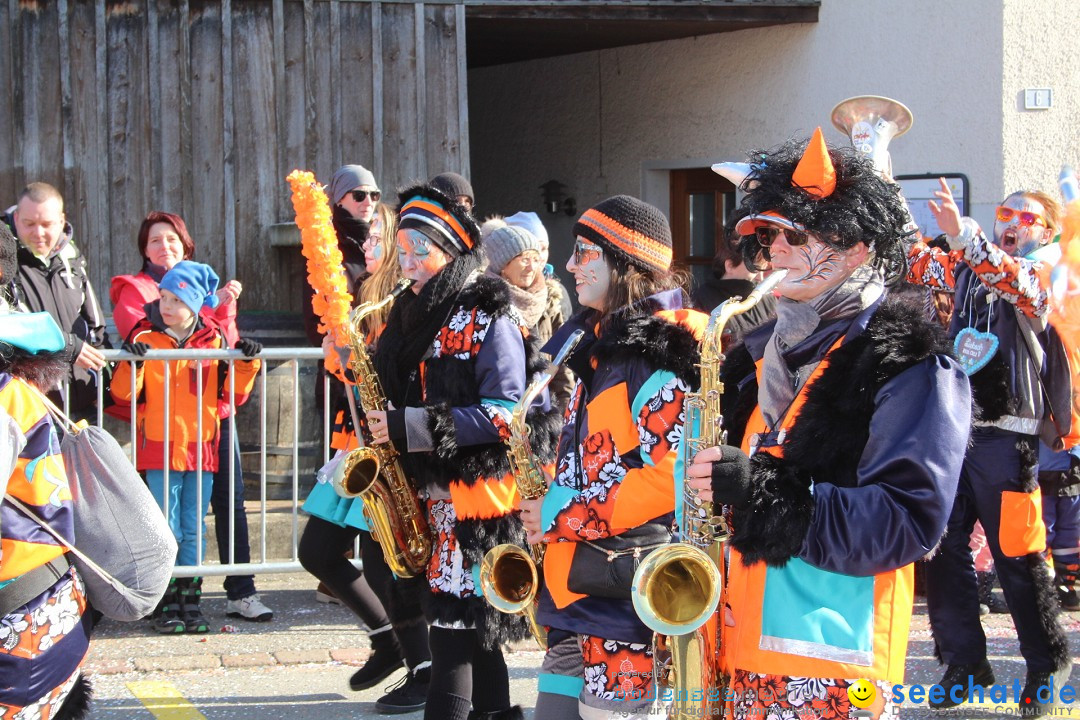 Fasnachtsumzug: Berlingen - Schweiz, 24.02.2018