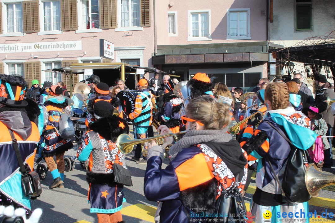 Fasnachtsumzug: Berlingen - Schweiz, 24.02.2018