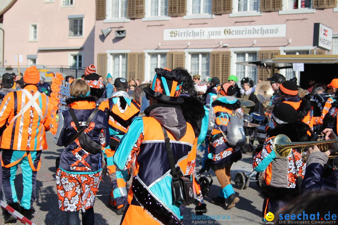 Fasnachtsumzug: Berlingen - Schweiz, 24.02.2018