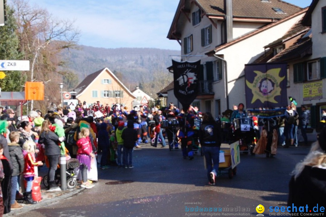 Fasnachtsumzug: Rorbas-Embrach - Schweiz, 04.03.2018