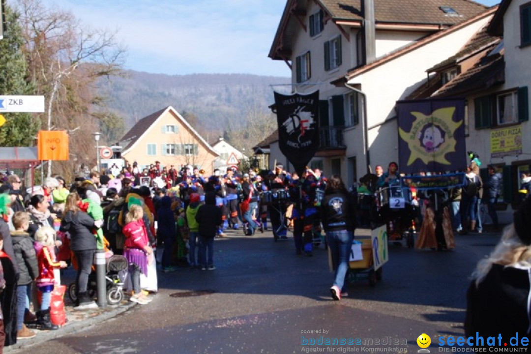 Fasnachtsumzug: Rorbas-Embrach - Schweiz, 04.03.2018