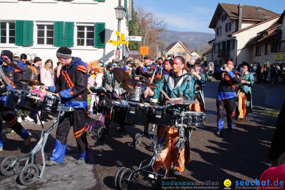 Fasnachtsumzug: Rorbas-Embrach - Schweiz, 04.03.2018