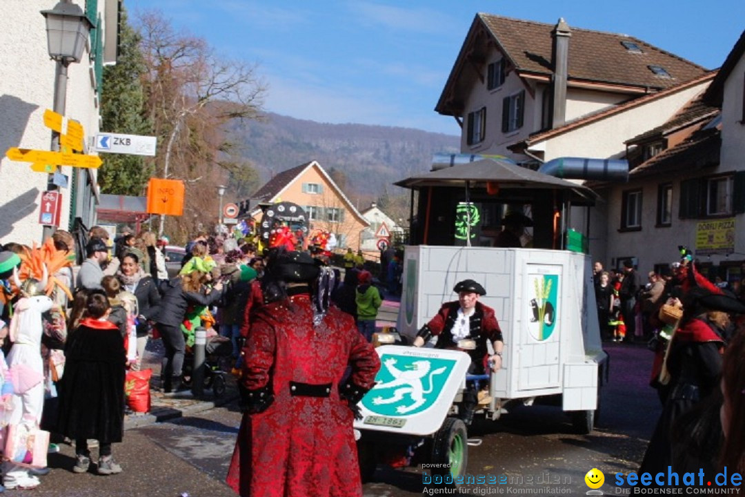 Fasnachtsumzug: Rorbas-Embrach - Schweiz, 04.03.2018