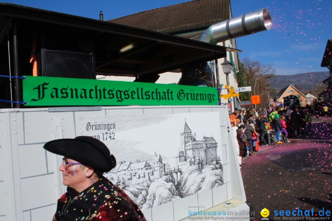 Fasnachtsumzug: Rorbas-Embrach - Schweiz, 04.03.2018