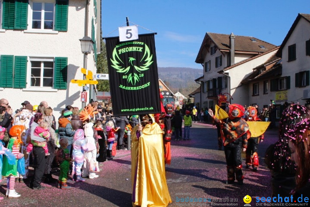 Fasnachtsumzug: Rorbas-Embrach - Schweiz, 04.03.2018