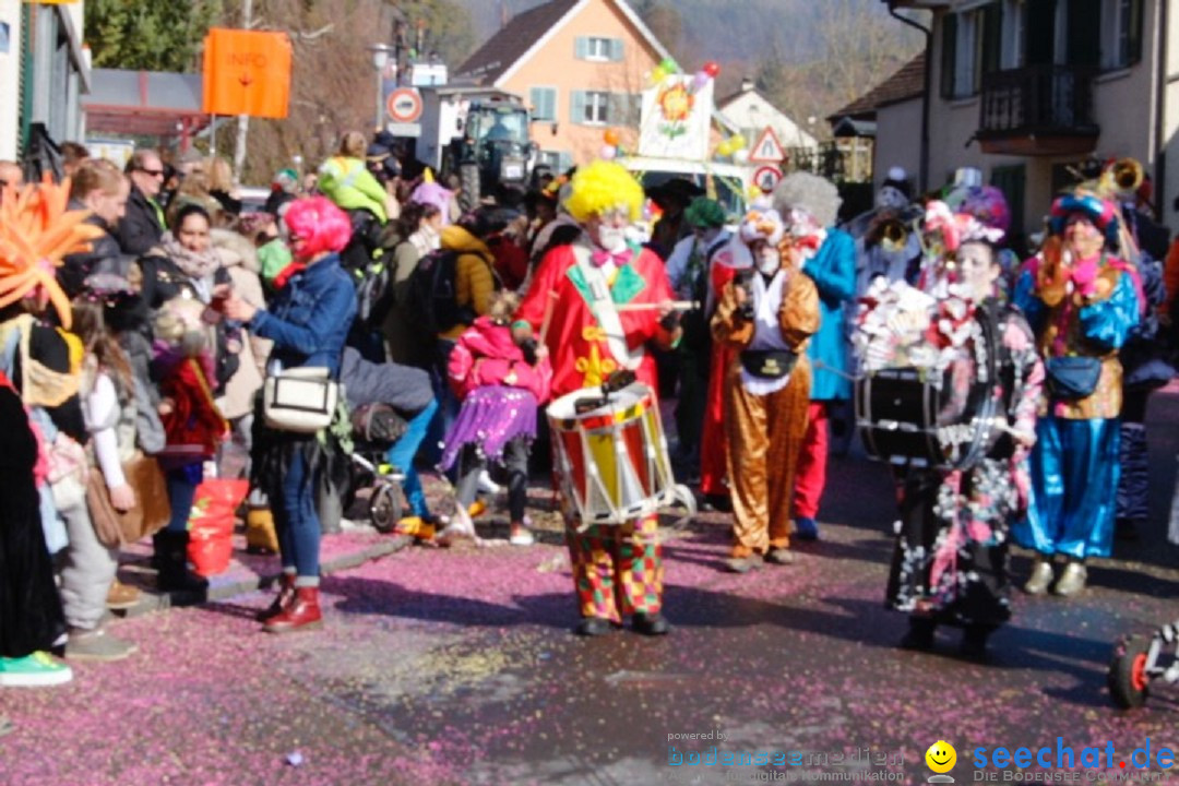 Fasnachtsumzug: Rorbas-Embrach - Schweiz, 04.03.2018