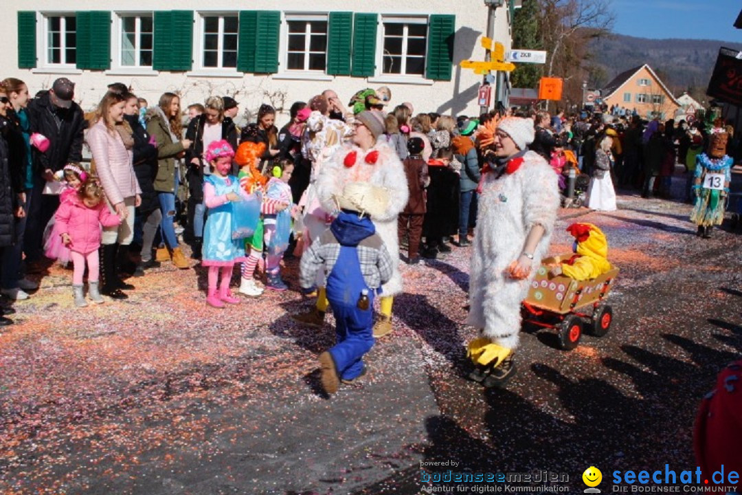 Fasnachtsumzug: Rorbas-Embrach - Schweiz, 04.03.2018