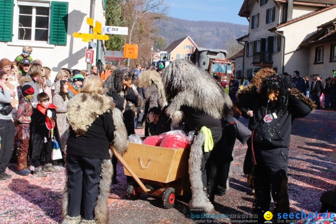 Fasnachtsumzug: Rorbas-Embrach - Schweiz, 04.03.2018