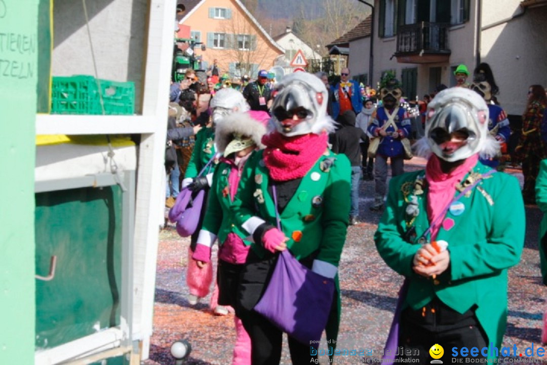 Fasnachtsumzug: Rorbas-Embrach - Schweiz, 04.03.2018