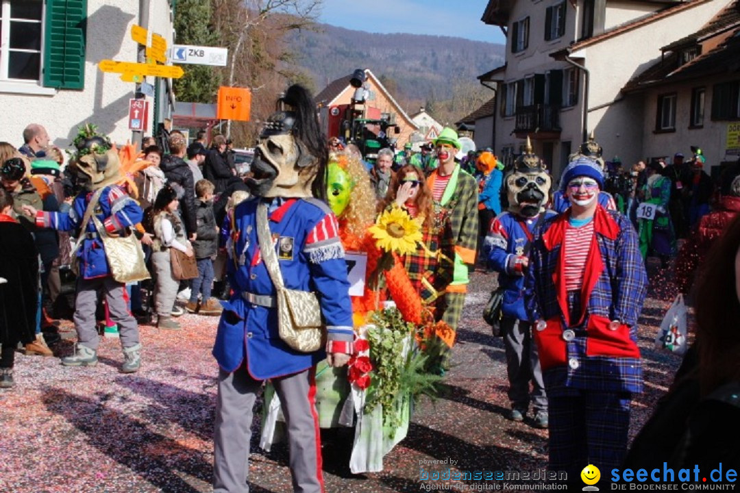 Fasnachtsumzug: Rorbas-Embrach - Schweiz, 04.03.2018