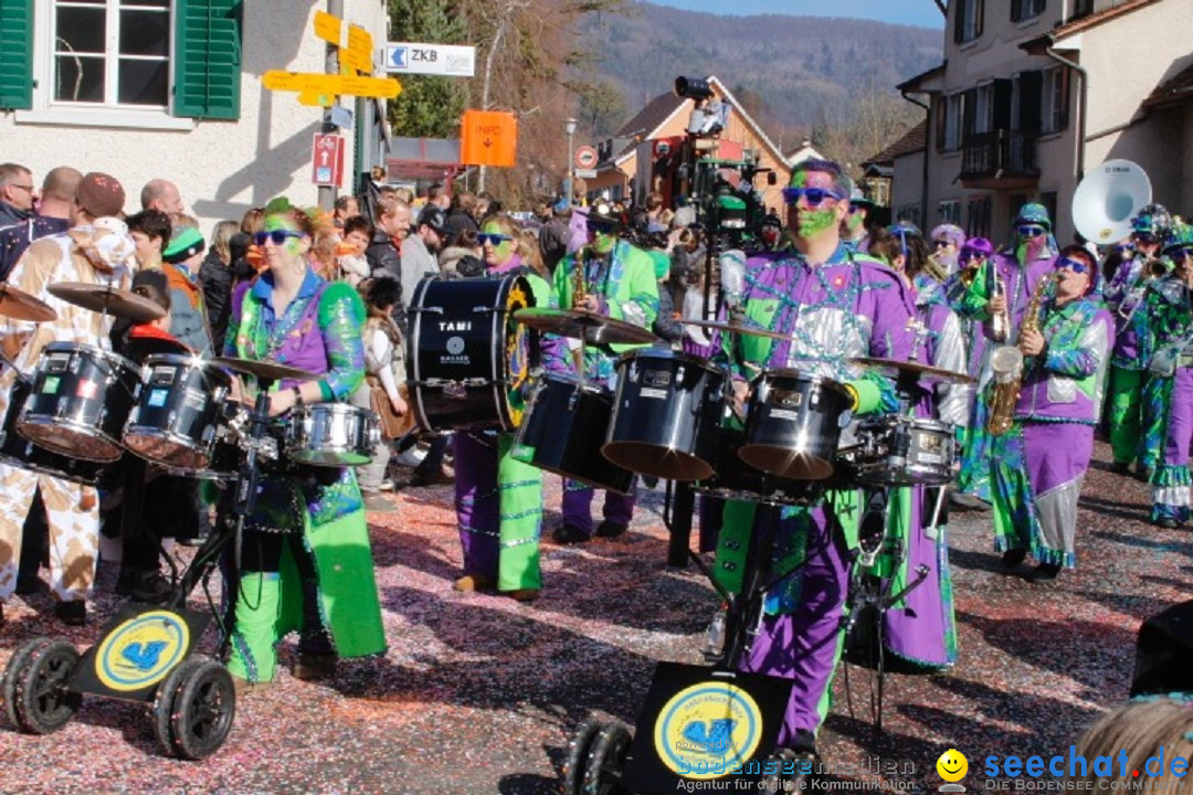 Fasnachtsumzug: Rorbas-Embrach - Schweiz, 04.03.2018