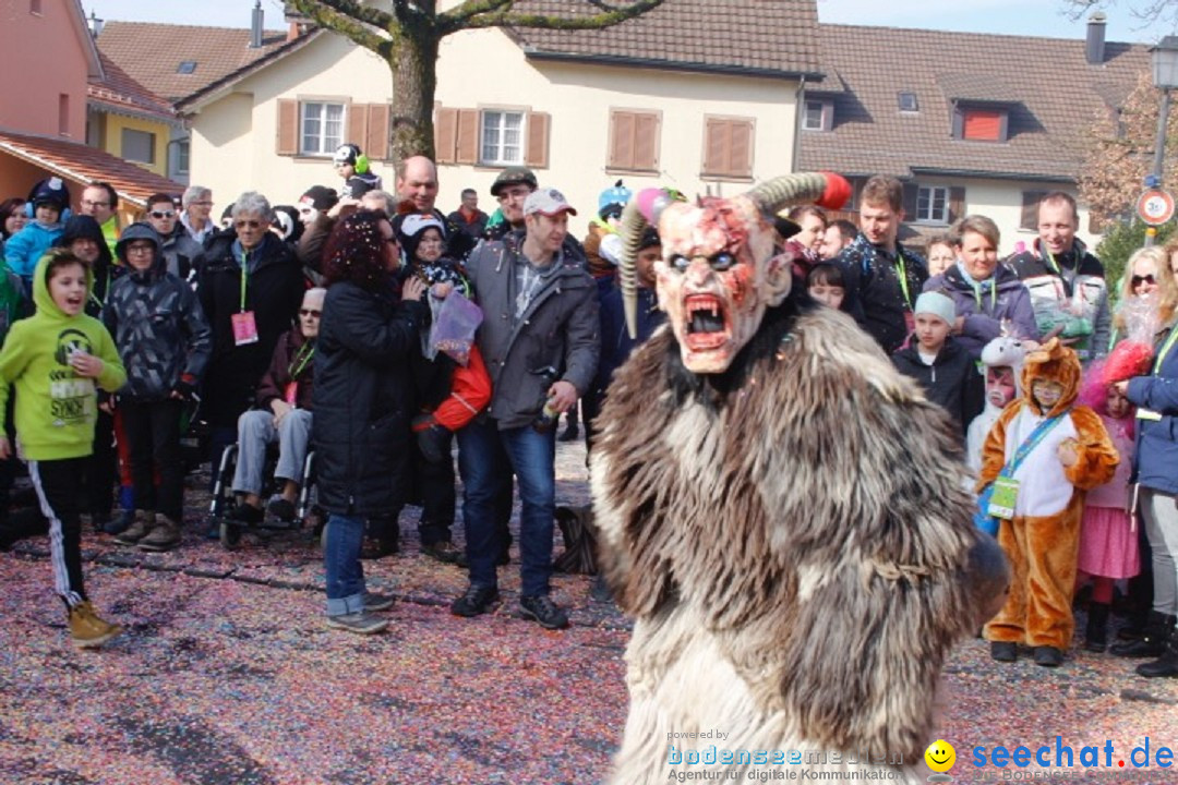 Fasnachtsumzug: Rorbas-Embrach - Schweiz, 04.03.2018