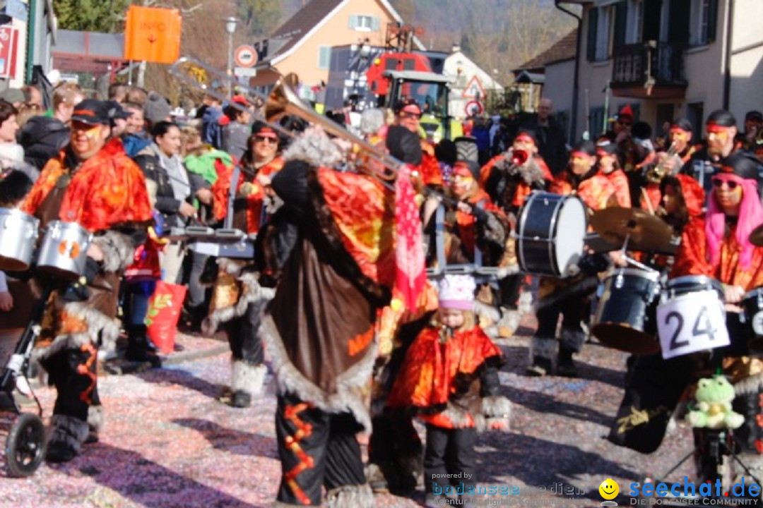 Fasnachtsumzug: Rorbas-Embrach - Schweiz, 04.03.2018