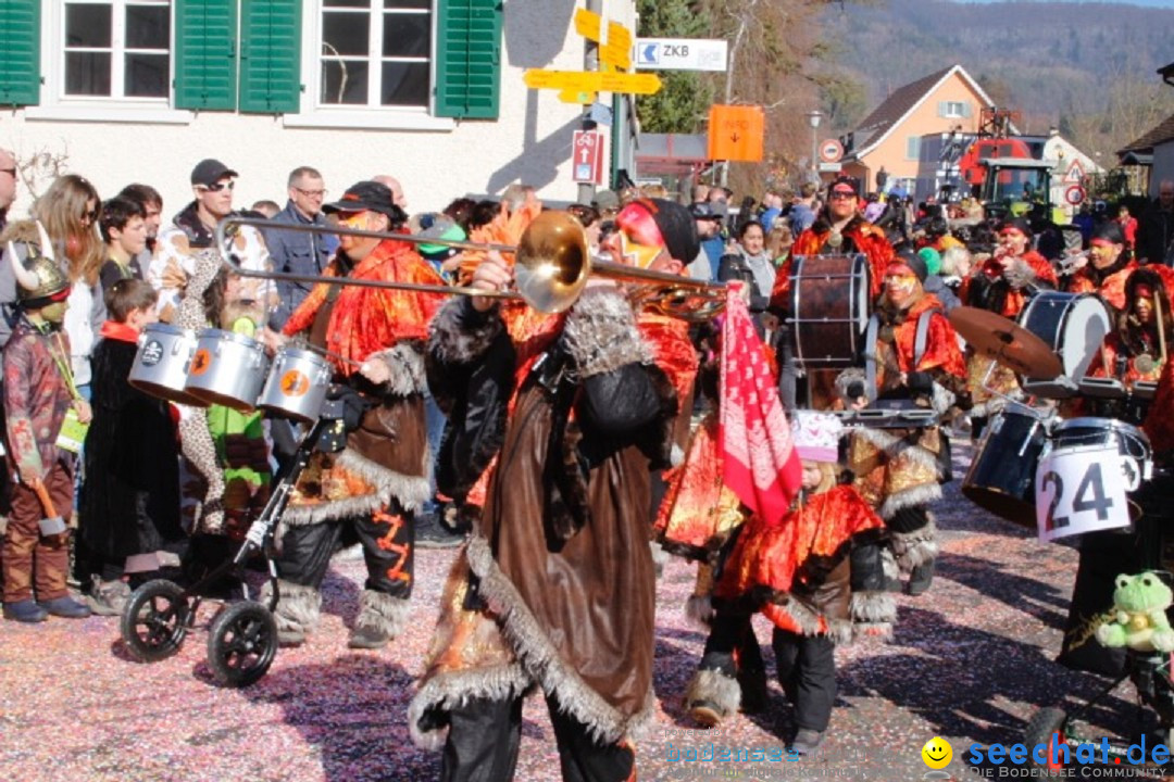 Fasnachtsumzug: Rorbas-Embrach - Schweiz, 04.03.2018