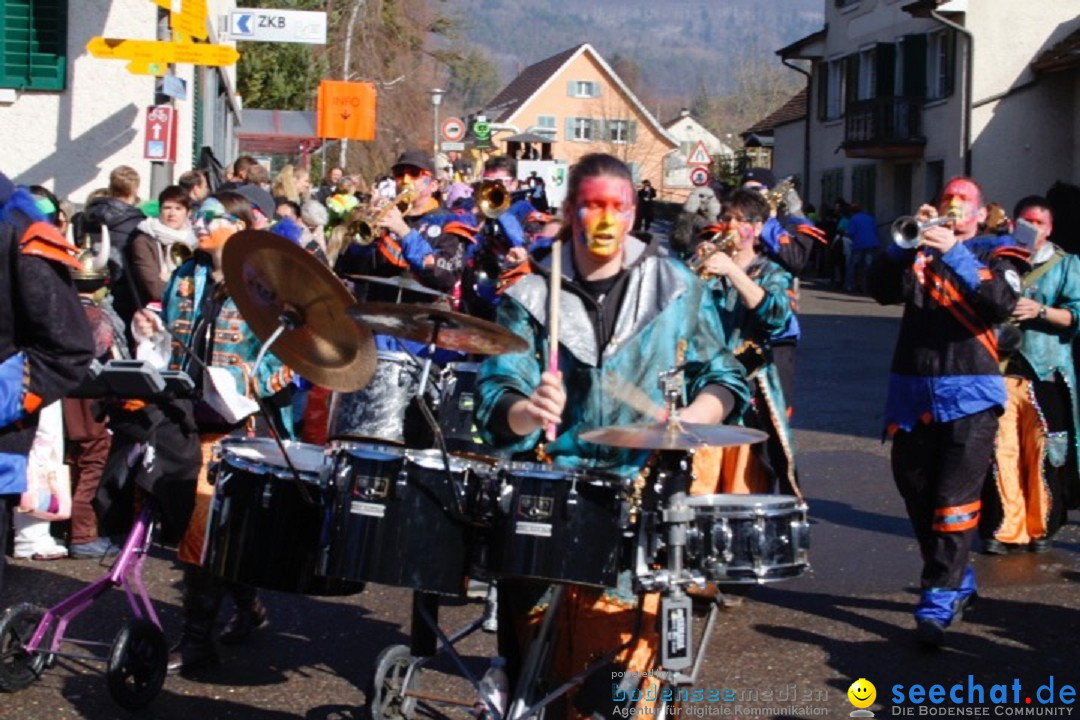 Fasnachtsumzug: Rorbas-Embrach - Schweiz, 04.03.2018