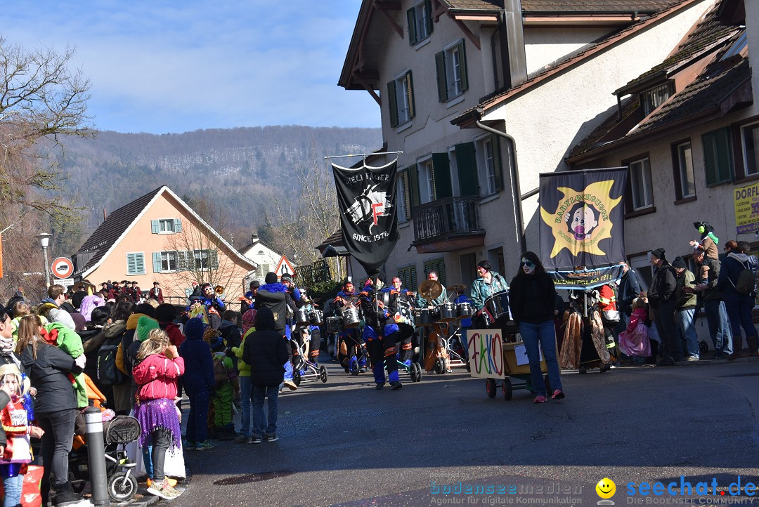 Fasnachtsumzug: Rorbas-Embrach - Schweiz, 04.03.2018