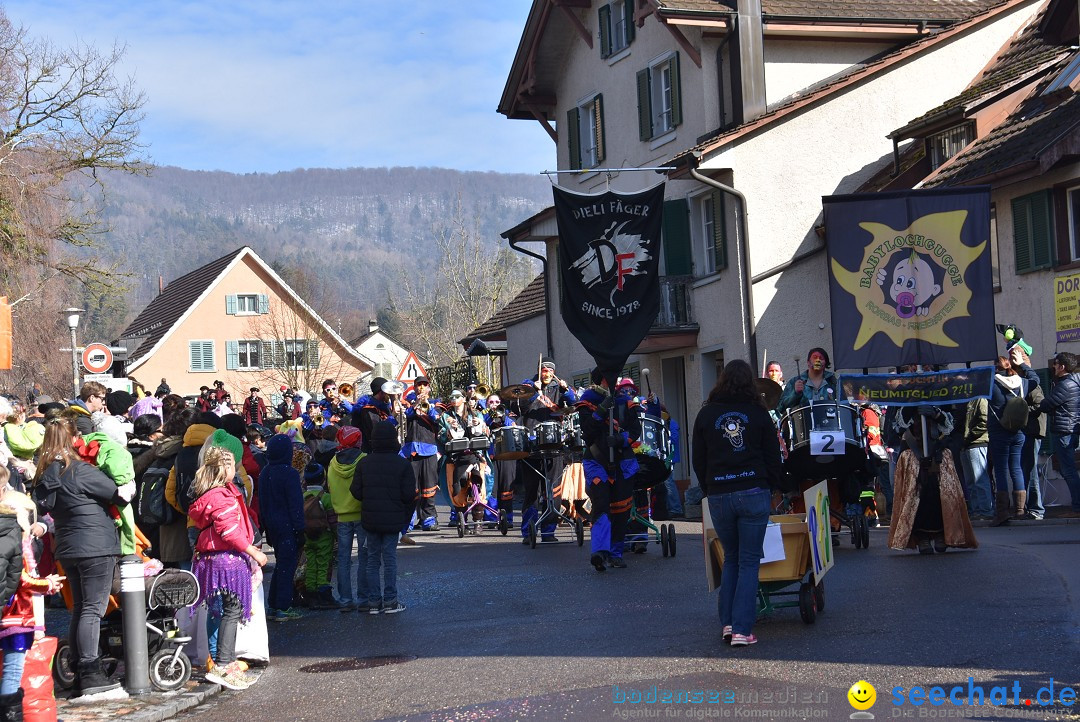 Fasnachtsumzug: Rorbas-Embrach - Schweiz, 04.03.2018