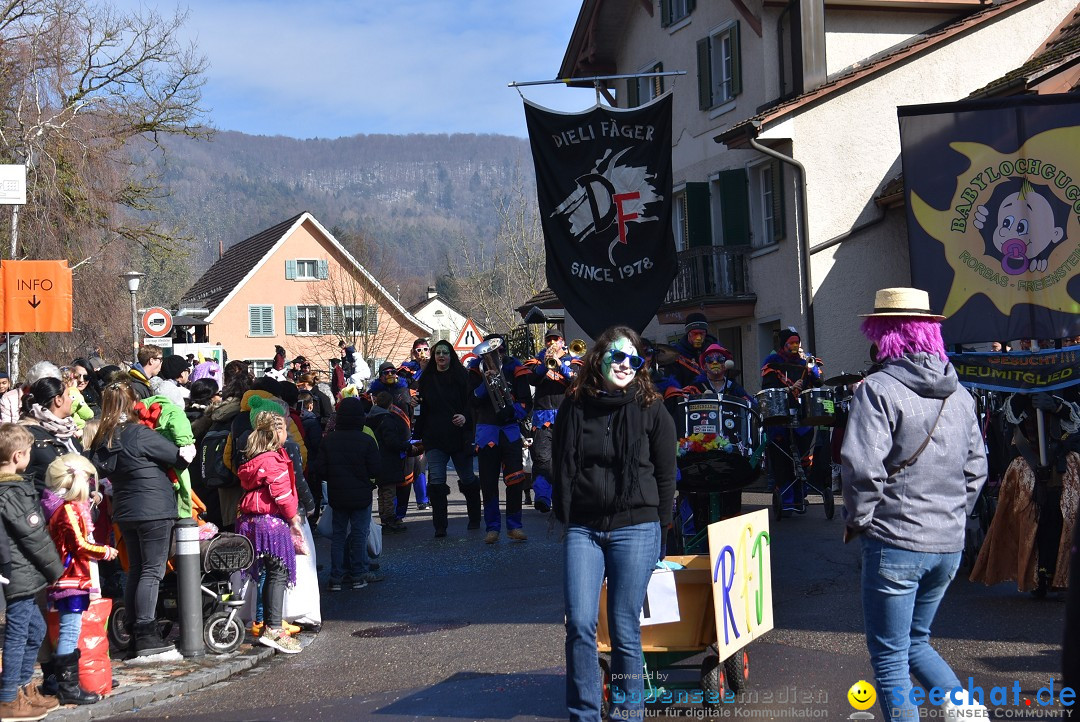 Fasnachtsumzug: Rorbas-Embrach - Schweiz, 04.03.2018