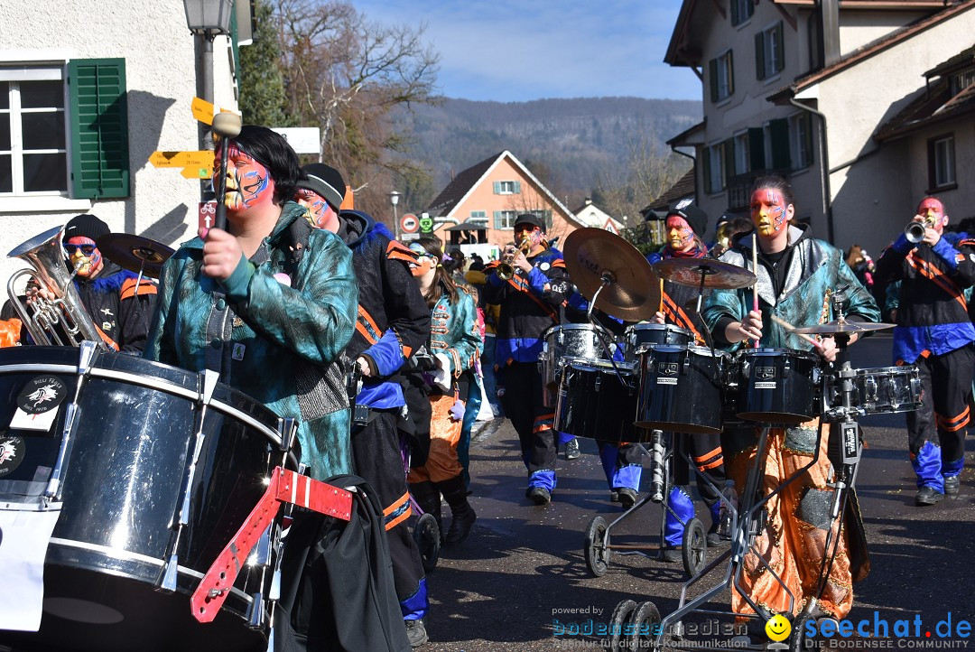 Fasnachtsumzug: Rorbas-Embrach - Schweiz, 04.03.2018