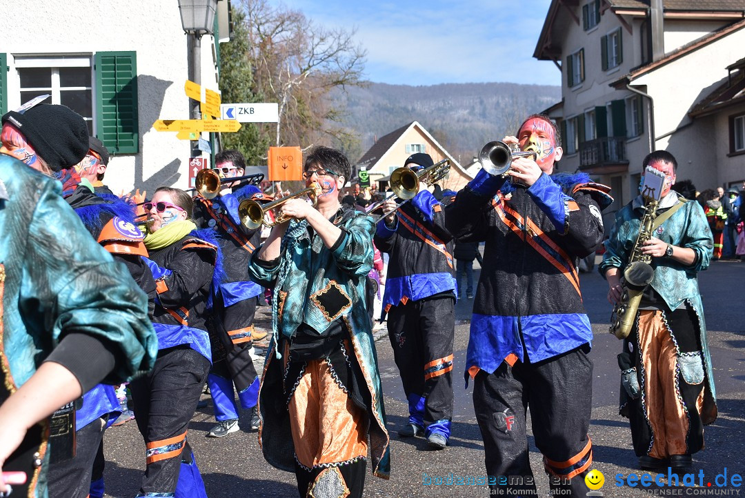 Fasnachtsumzug: Rorbas-Embrach - Schweiz, 04.03.2018