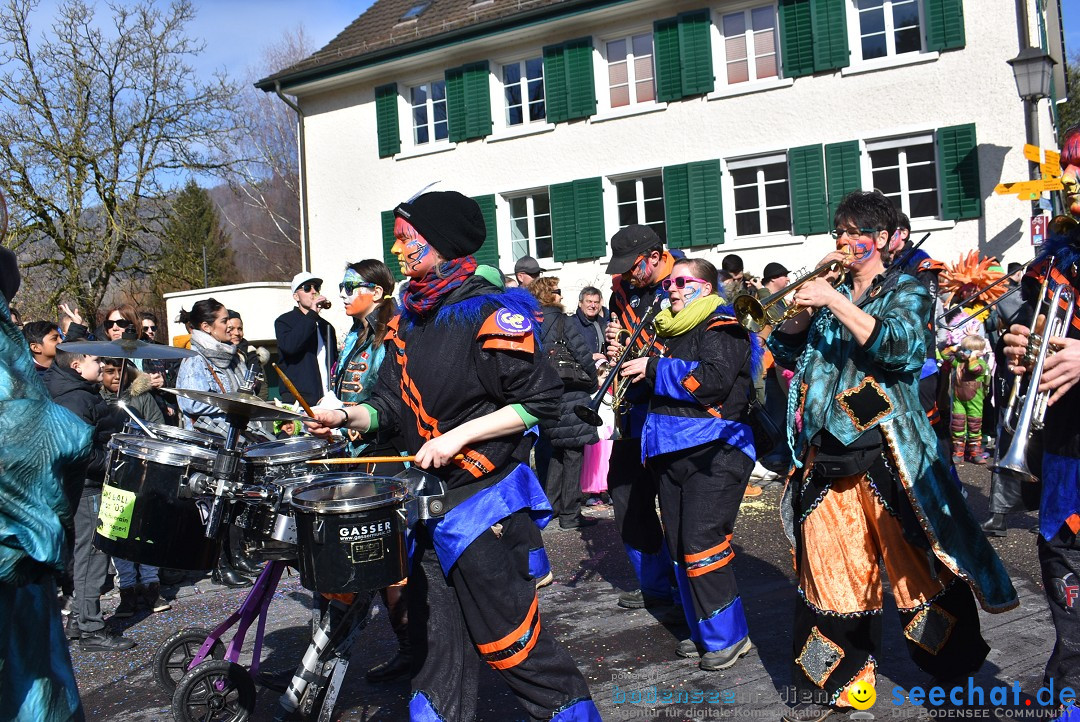 Fasnachtsumzug: Rorbas-Embrach - Schweiz, 04.03.2018