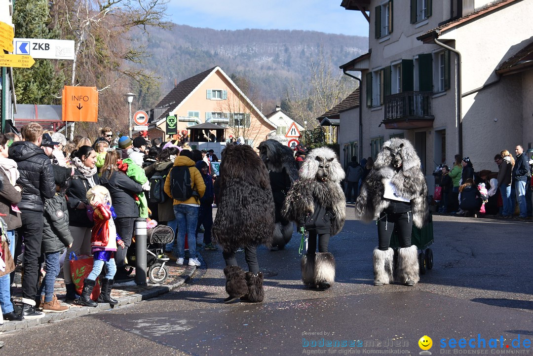 Fasnachtsumzug: Rorbas-Embrach - Schweiz, 04.03.2018