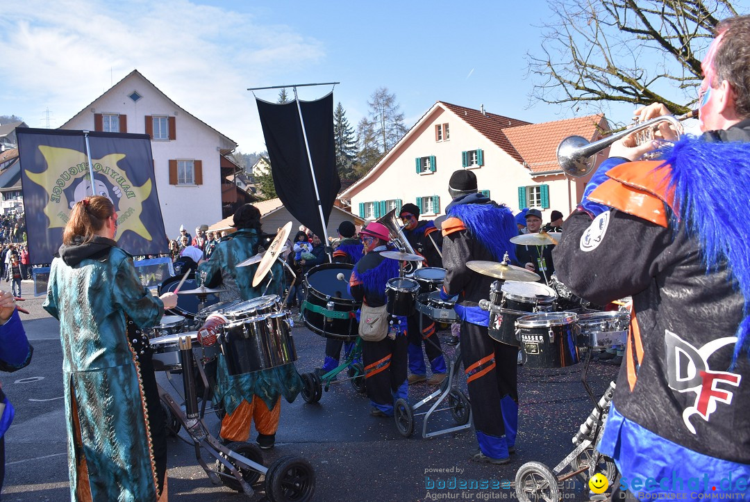 Fasnachtsumzug: Rorbas-Embrach - Schweiz, 04.03.2018